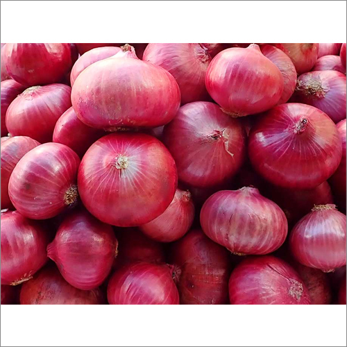 red onion1