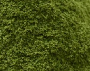 moringa powder moringa powder